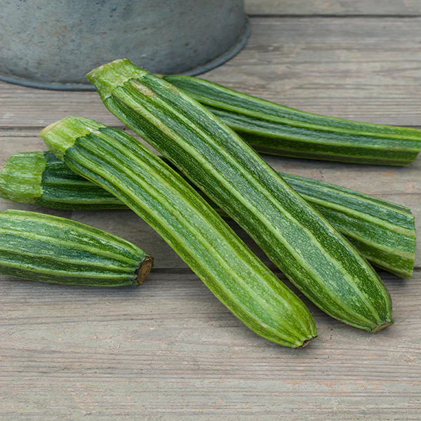 New Vegetable Seeds
